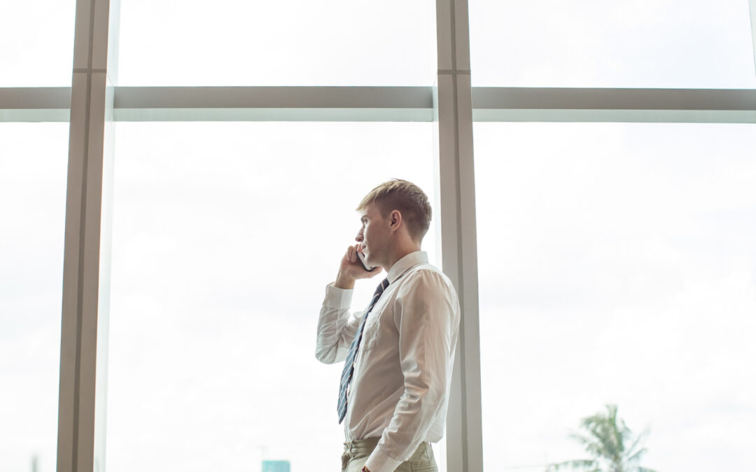 Elegir un estor motorizado para ventanas XXL